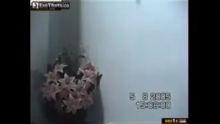 lebanese bitch